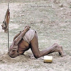 Эпизод "Мульт.войны", люди закапывают голову в песок