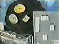 Гигантский Бобер с южной Шри-Ланки