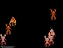 Крабовый народ