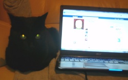 25192_384436312267_560257267_3680096_5581273_n